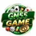 GN55 Game